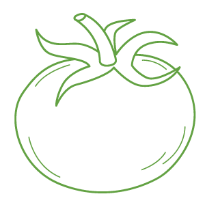 Tomate fraîche